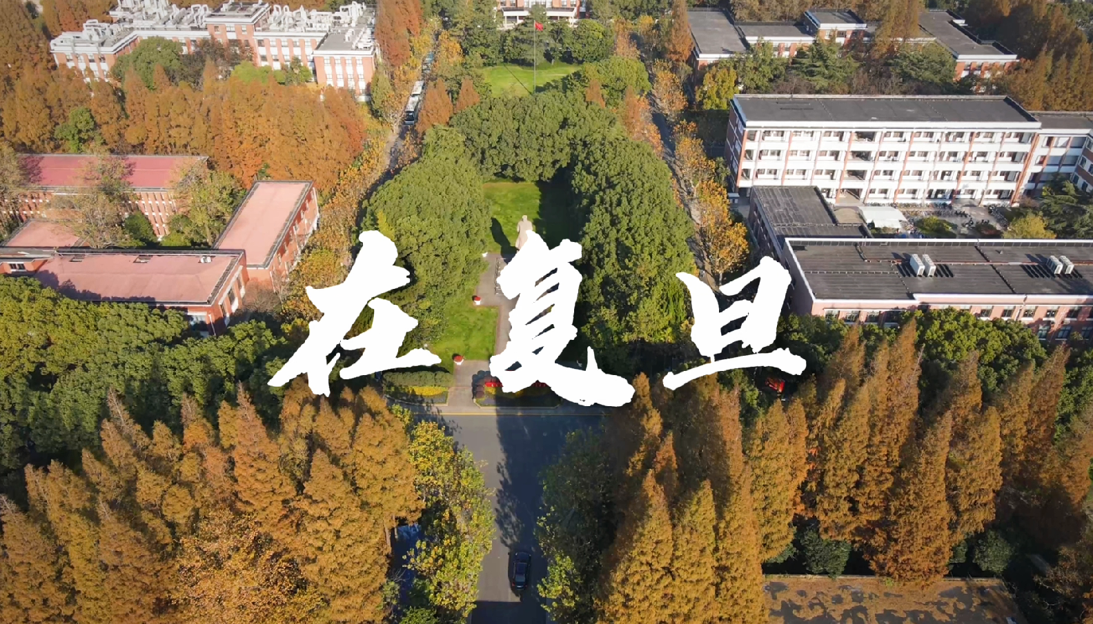 上海交通大学,复旦大学现在可以参观了吗?
