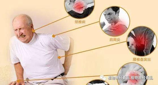 中医痹症行痹的辩证论治治疗痹症首选五龙通络汤