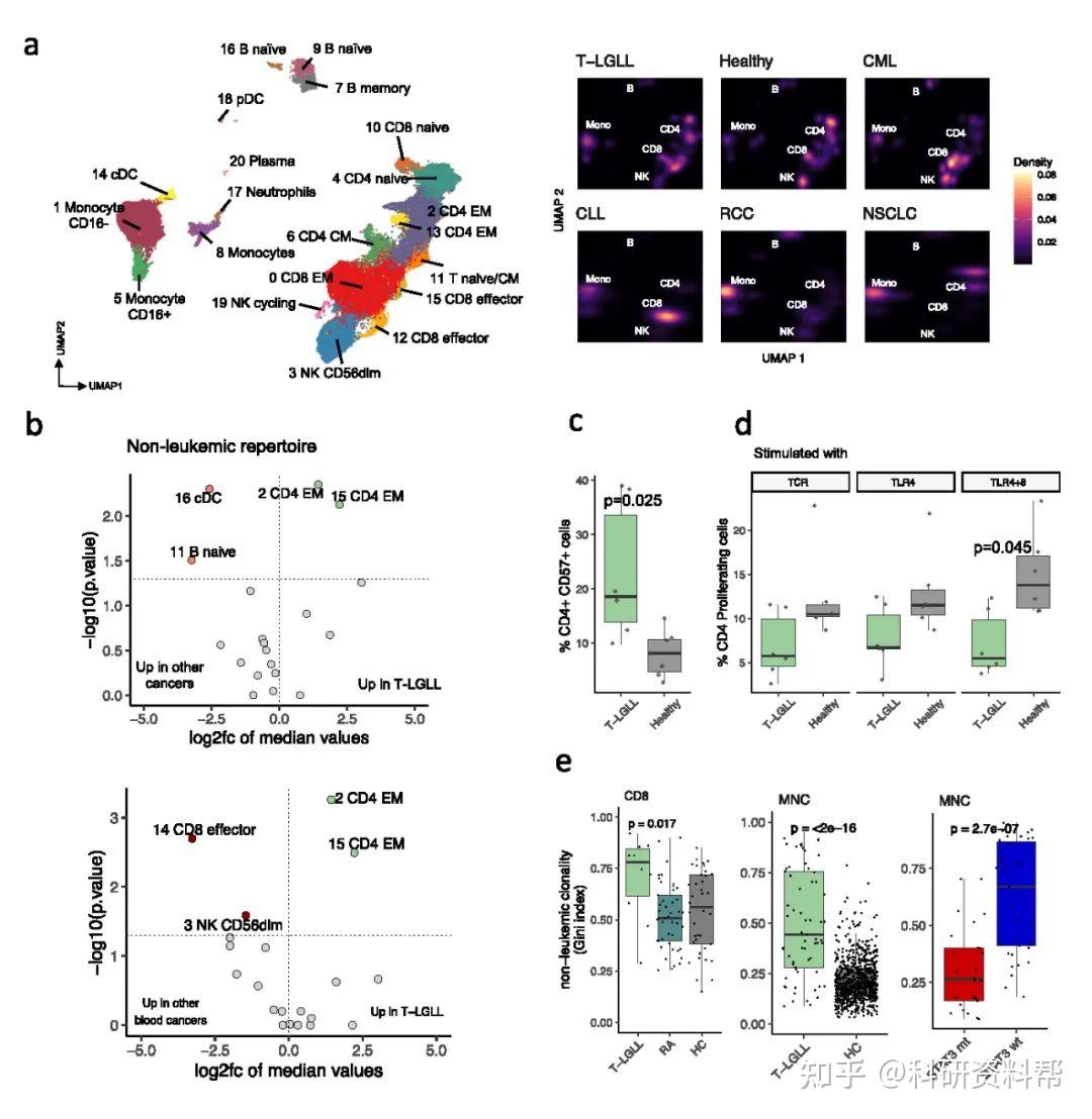 文献解读 Cd8⁺t Lgll单细胞免疫组特征的描绘 知乎