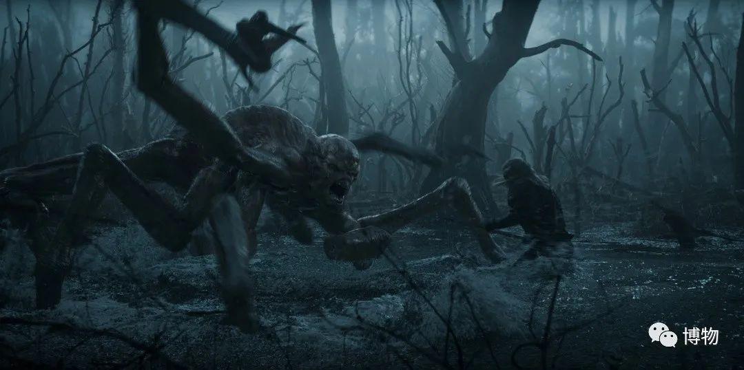 破案了千与千寻里的汤婆婆来自东欧