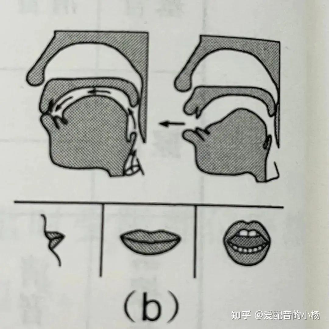 基础发音—b、p、m、f发音及练习 - 知乎