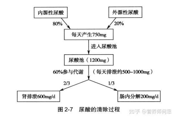 当代年轻人为什么会出现尿酸高? 4 v2 820cfea26785d3ab88a7270b8679bf04 720w