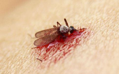 我们有妙招不怕蚊子猖獗