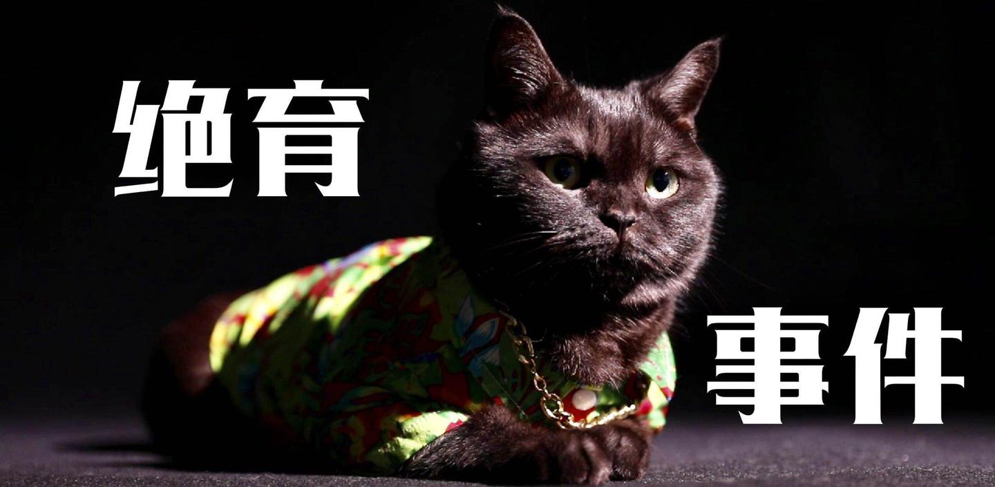 v2-82139af279cd5e1d0b41127a98a48634_1440w.jpg?source=172ae18b