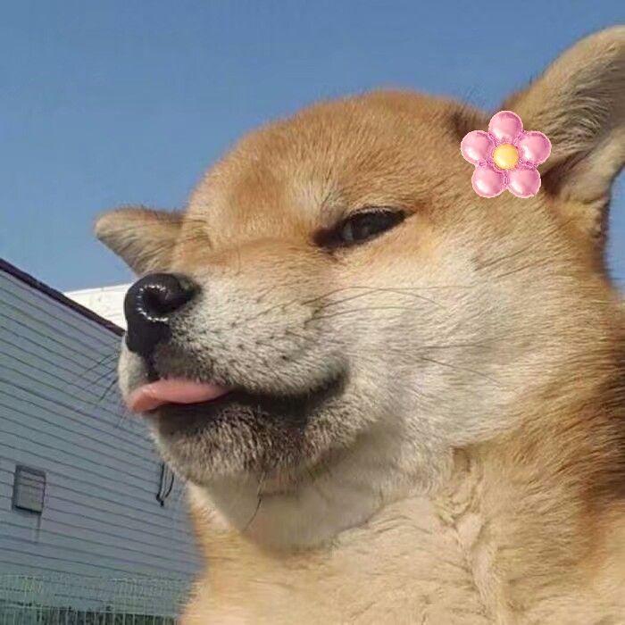 有没有一些搞怪,无厘头的情侣头像? - 知乎