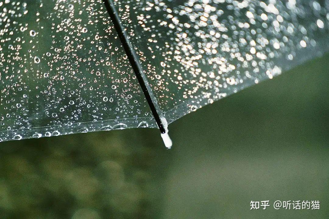 你为什么喜欢雨天 - 知乎