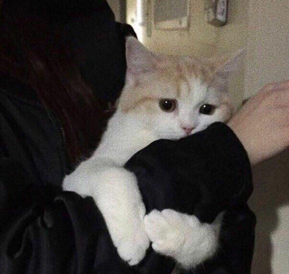 有哪些好看的黑色系头像,以及配套的背景? - 知乎