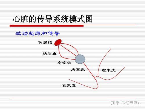 博声医疗 完全性右束支传导阻滞 知乎 博声医疗 完全性右束支传导阻滞 知乎