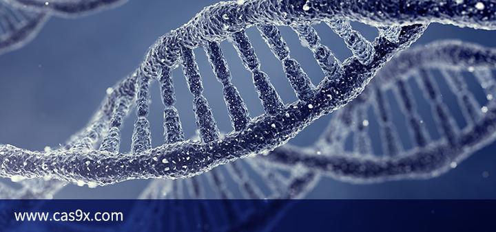 crispr/cas9细胞基因敲除技术策略