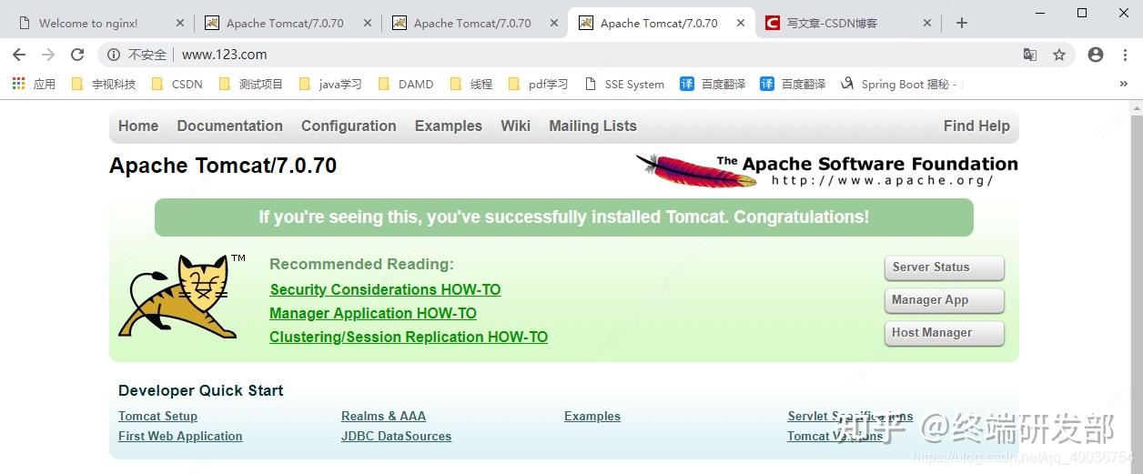 nginx学习,看这一篇就够了!17 nginx学习,看这一篇就够了!