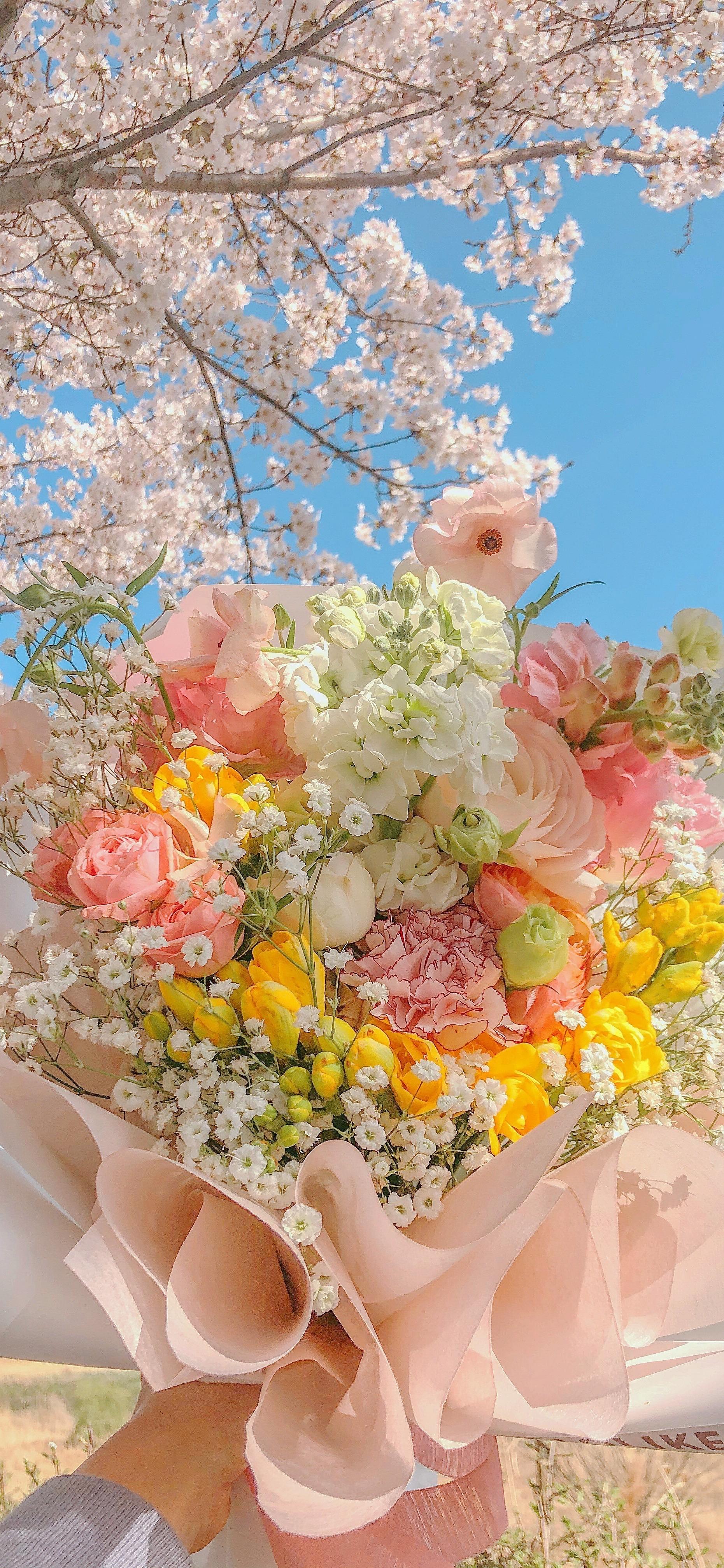 有没有这样关于玫瑰花的微信背景图或者有意境的文字背景图? - 知乎