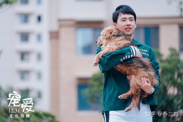 宠爱太好哭了豪七一抬爪电影院里一片啜泣