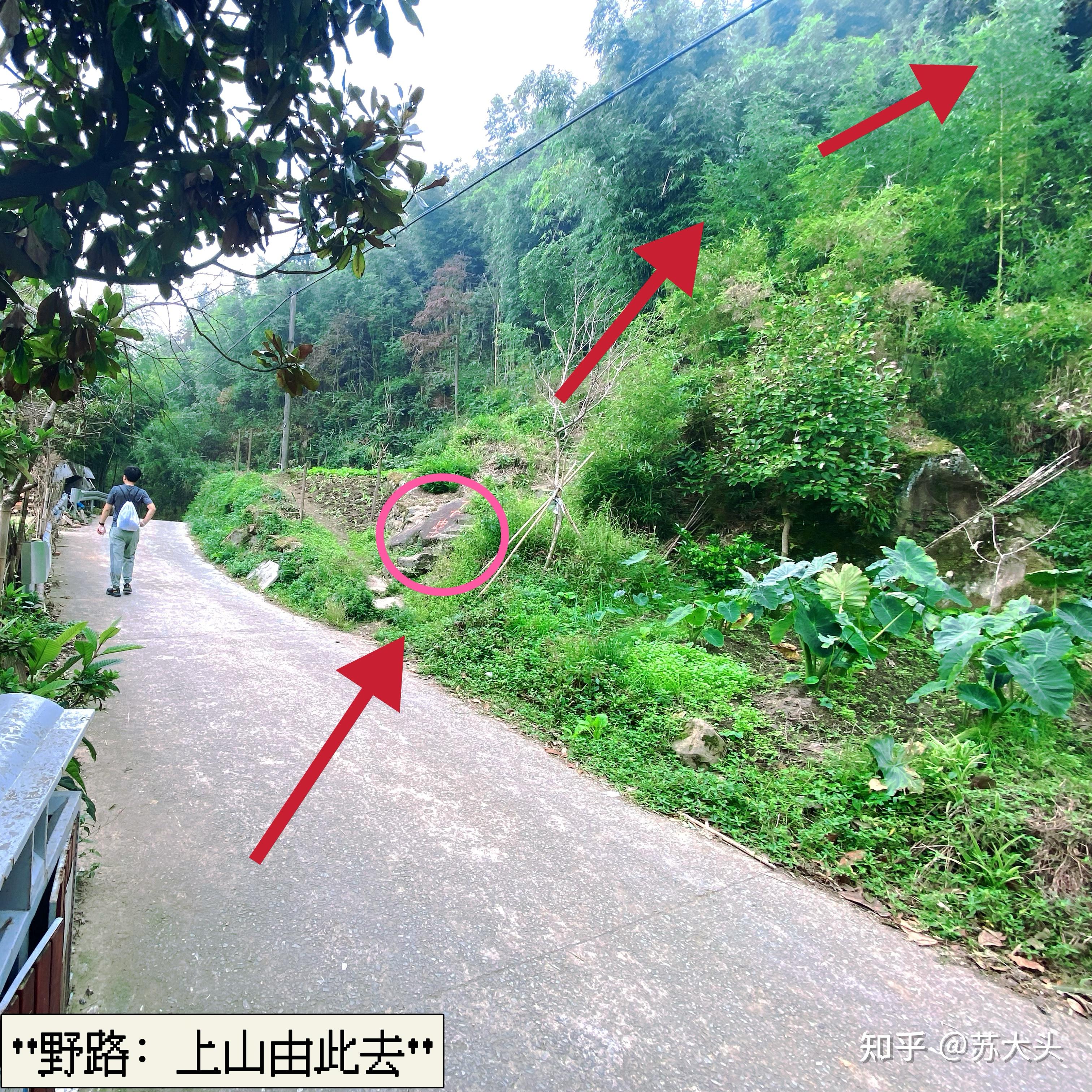 重庆徒步爬山圣地：缙云山免门票上山详细路线指引 - 知乎
