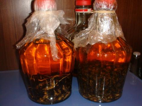 泡酒技术:怎样泡蚂蚁酒?,蚂蚁泡酒方法步骤