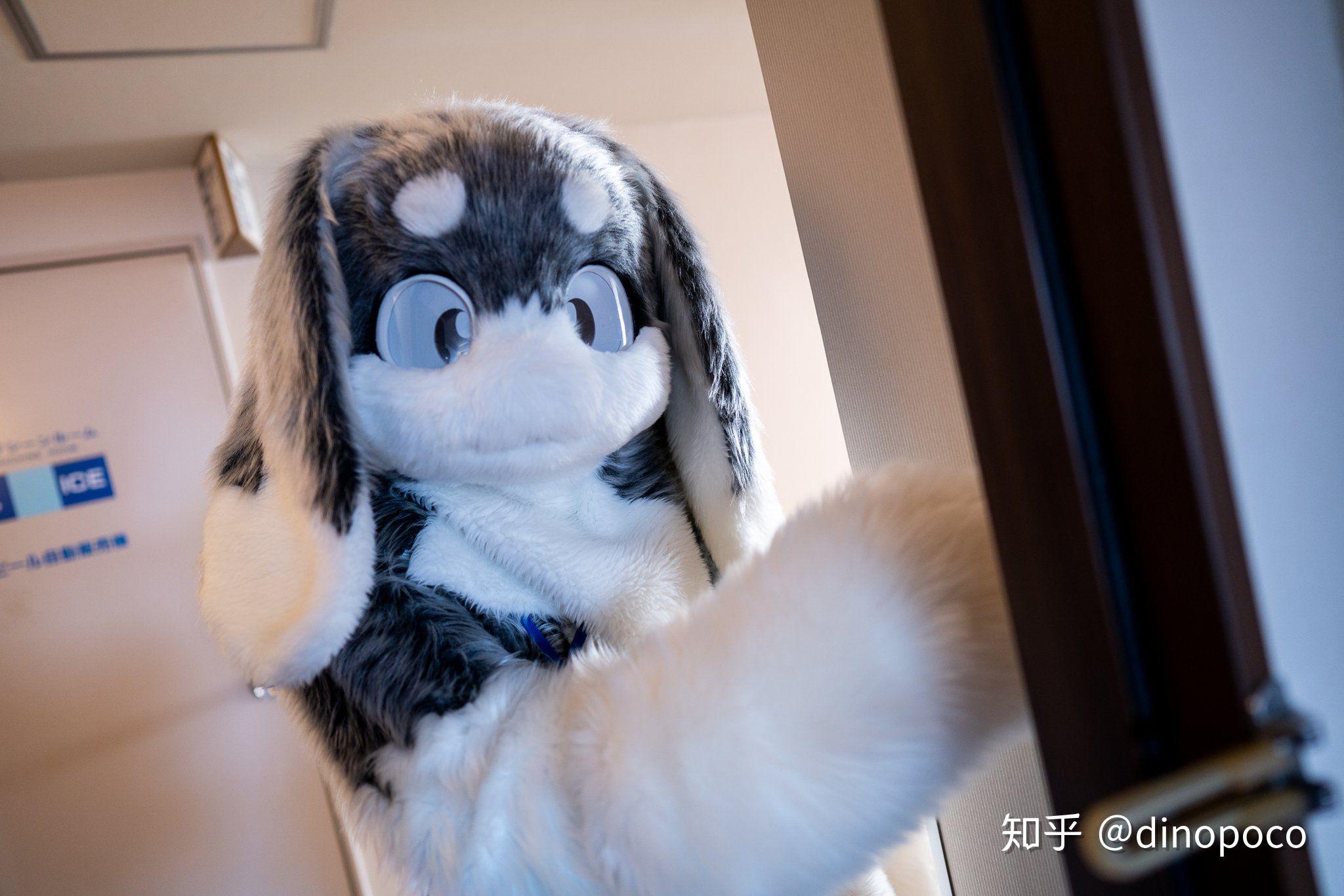 求一些可爱的兔子兽装图片