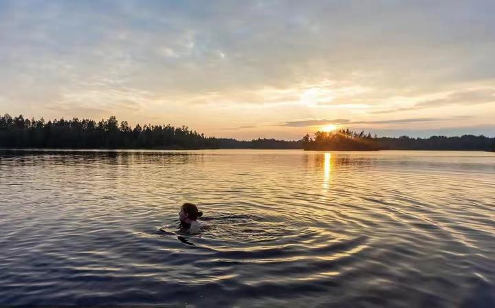 女子在云南大理洱海裸泳后续裸泳事件属实女子如愿所偿