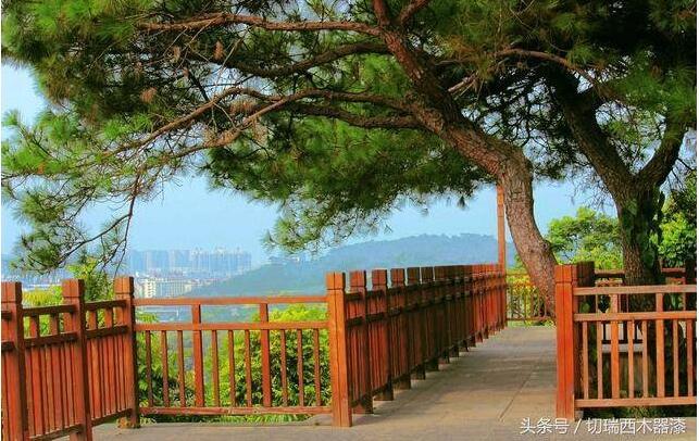 详细分析木材进行防腐处理的四大因素 知乎 详细分析木材进行防腐处理的四大因素 知乎