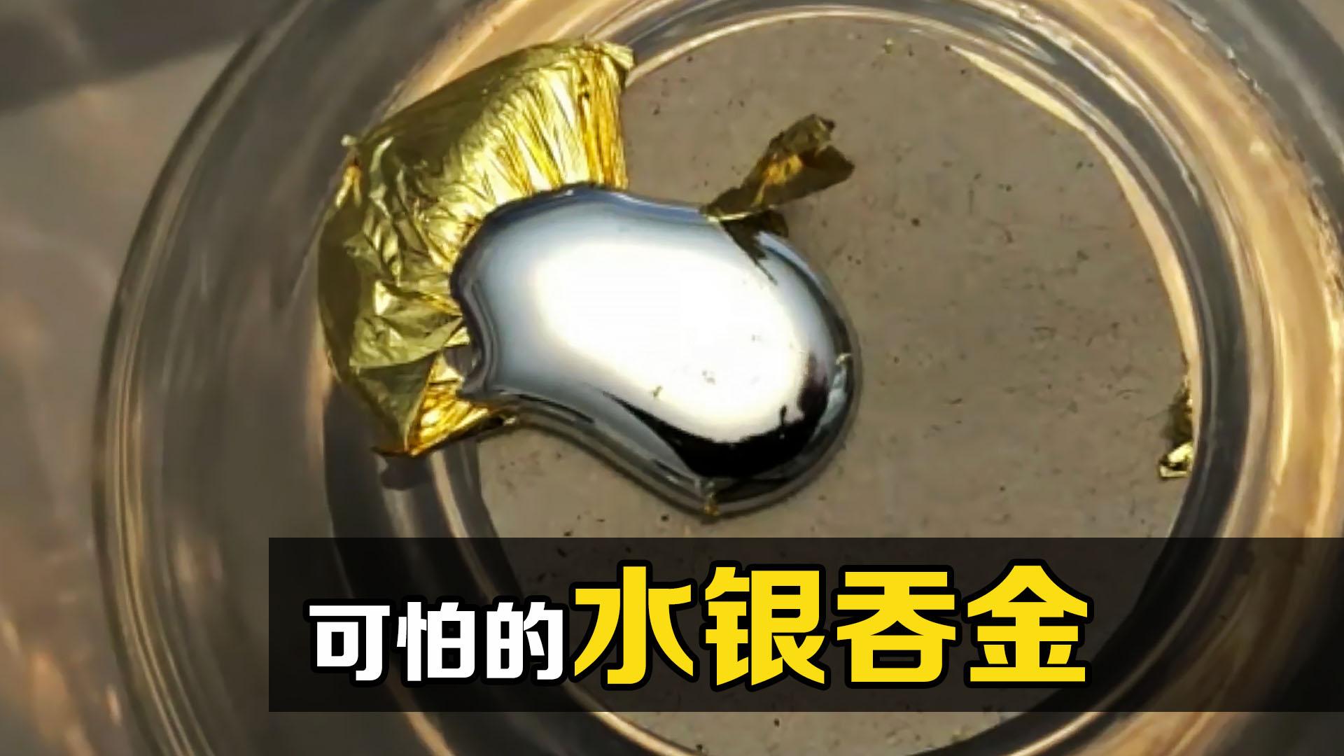 水银,黄金的天生克星,把汞滴到金箔上,有趣的现象发生了!