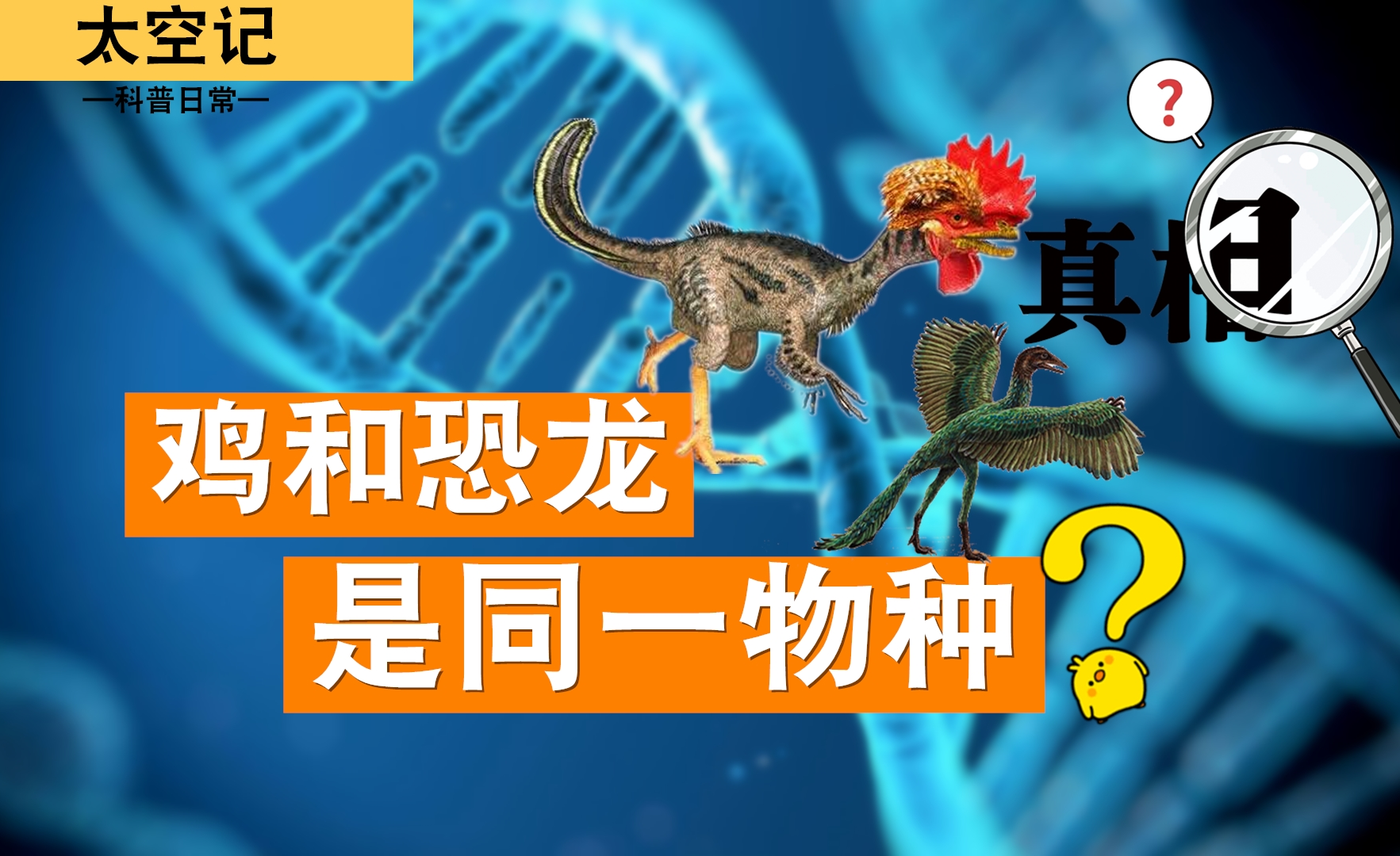 恐龙进化成鸡,这是真的吗?