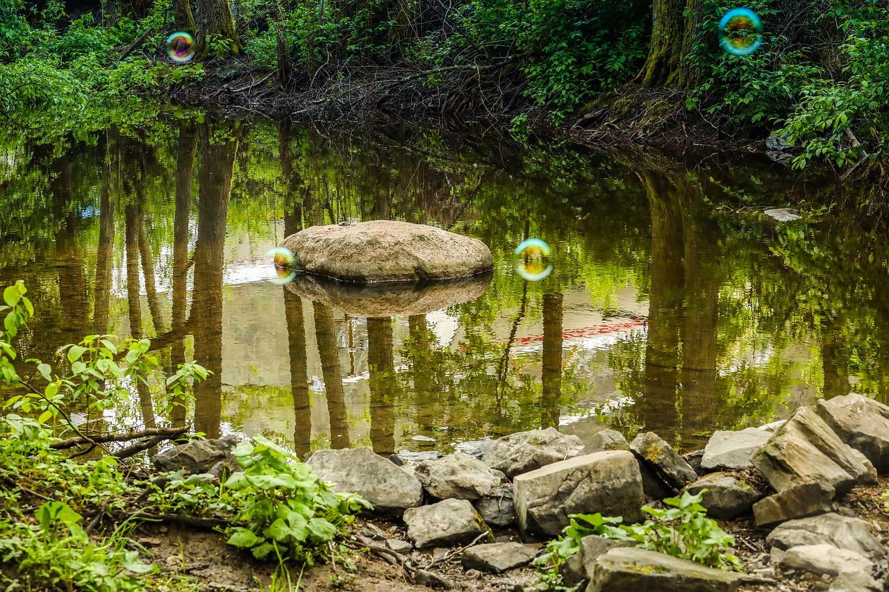 齐鲁园交通出行便利性