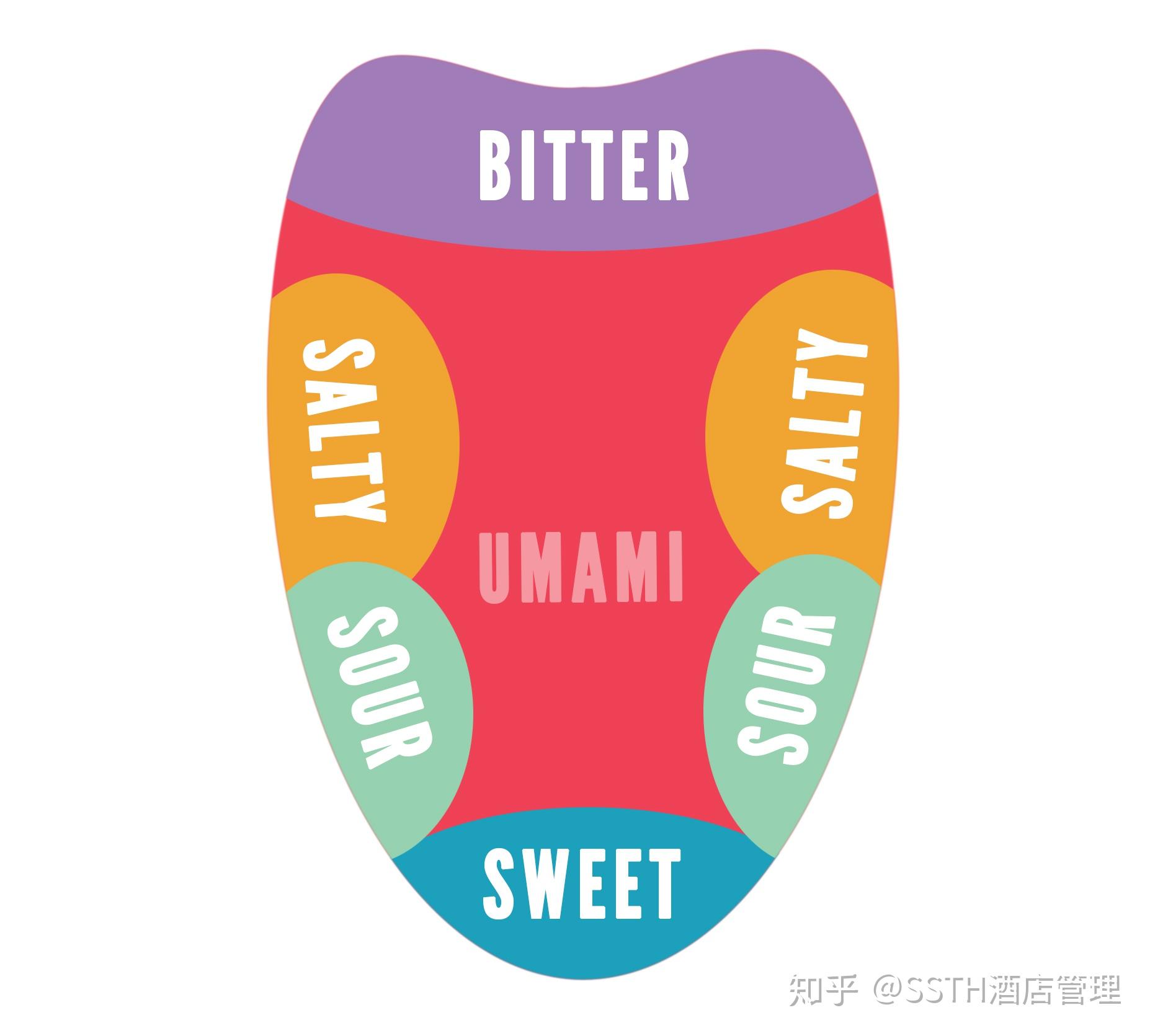 ssth第五家餐厅umami即将开放
