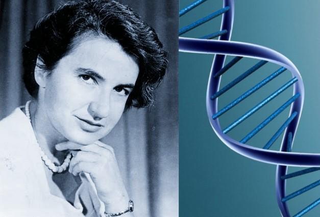 可dna到底是什么样的,在那个显微镜还仅仅能达到300nm分辨率的贝