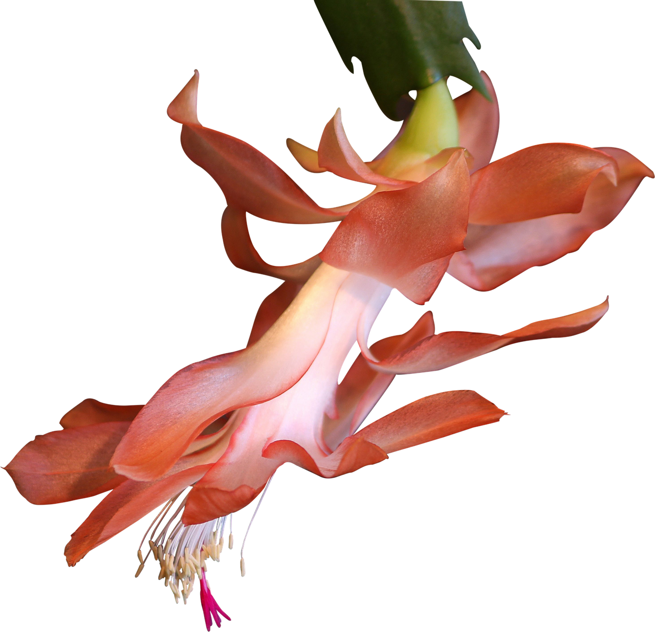 4. 生活品味体现