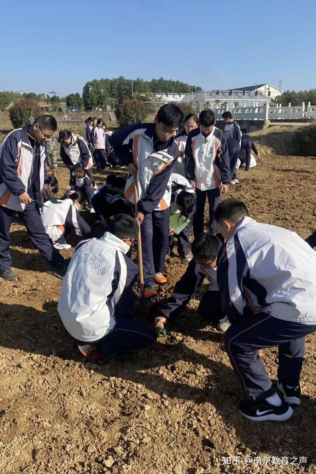 校园报道躬耕学农事实践觅真知铁北初二学子学农实践活动