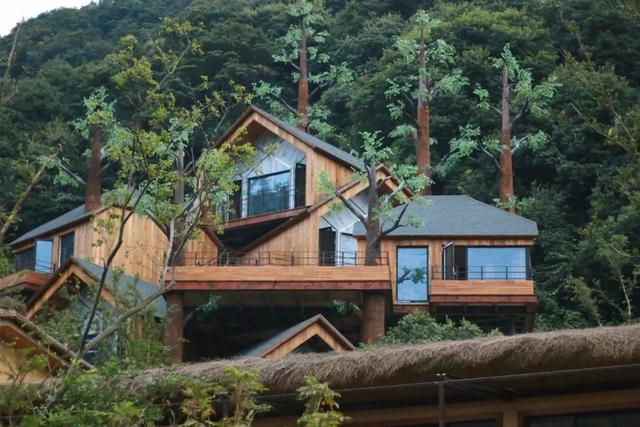 树屋仅仅是形式——解读开元森泊度假乐园爆红的原因 - 知乎