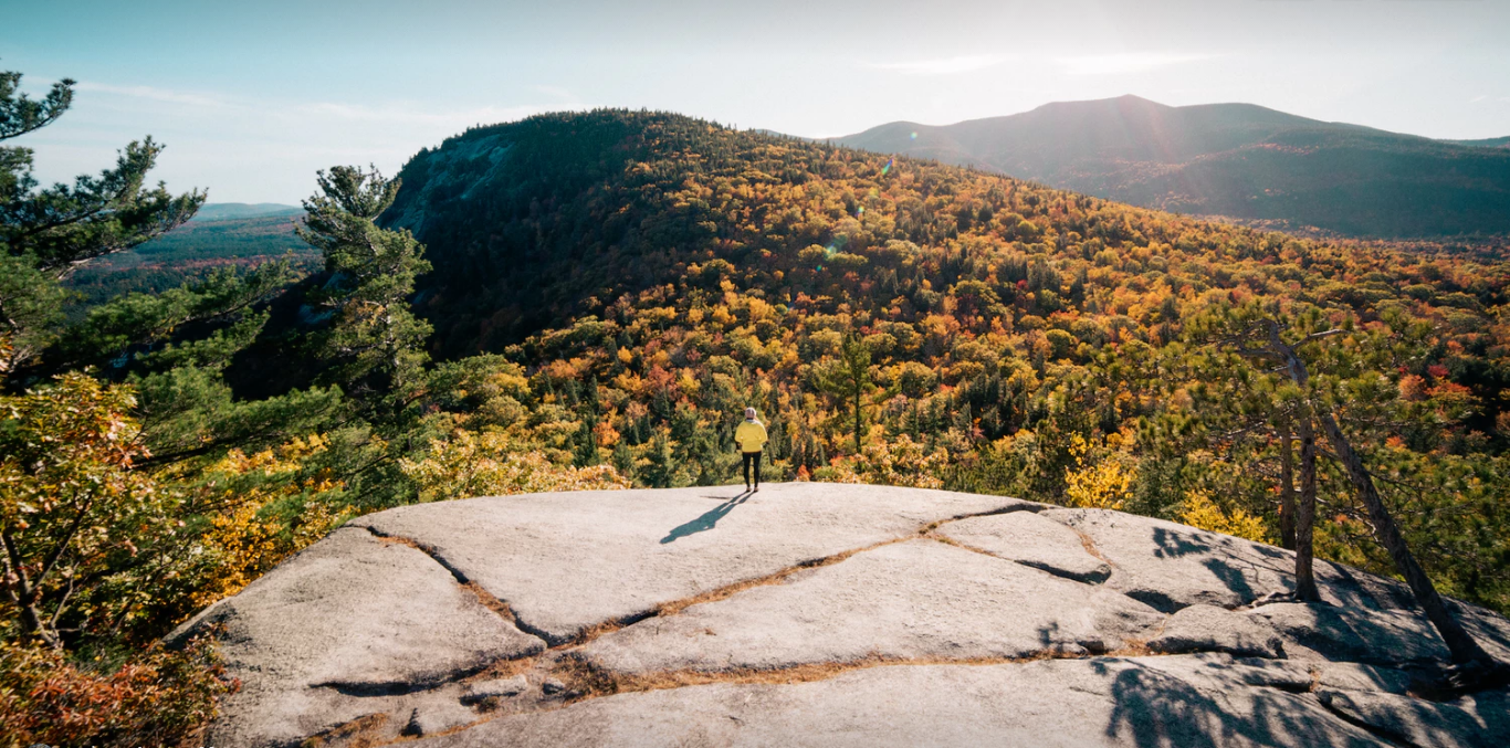 【原创】Bootstrap文件上传组件:bootstrap file