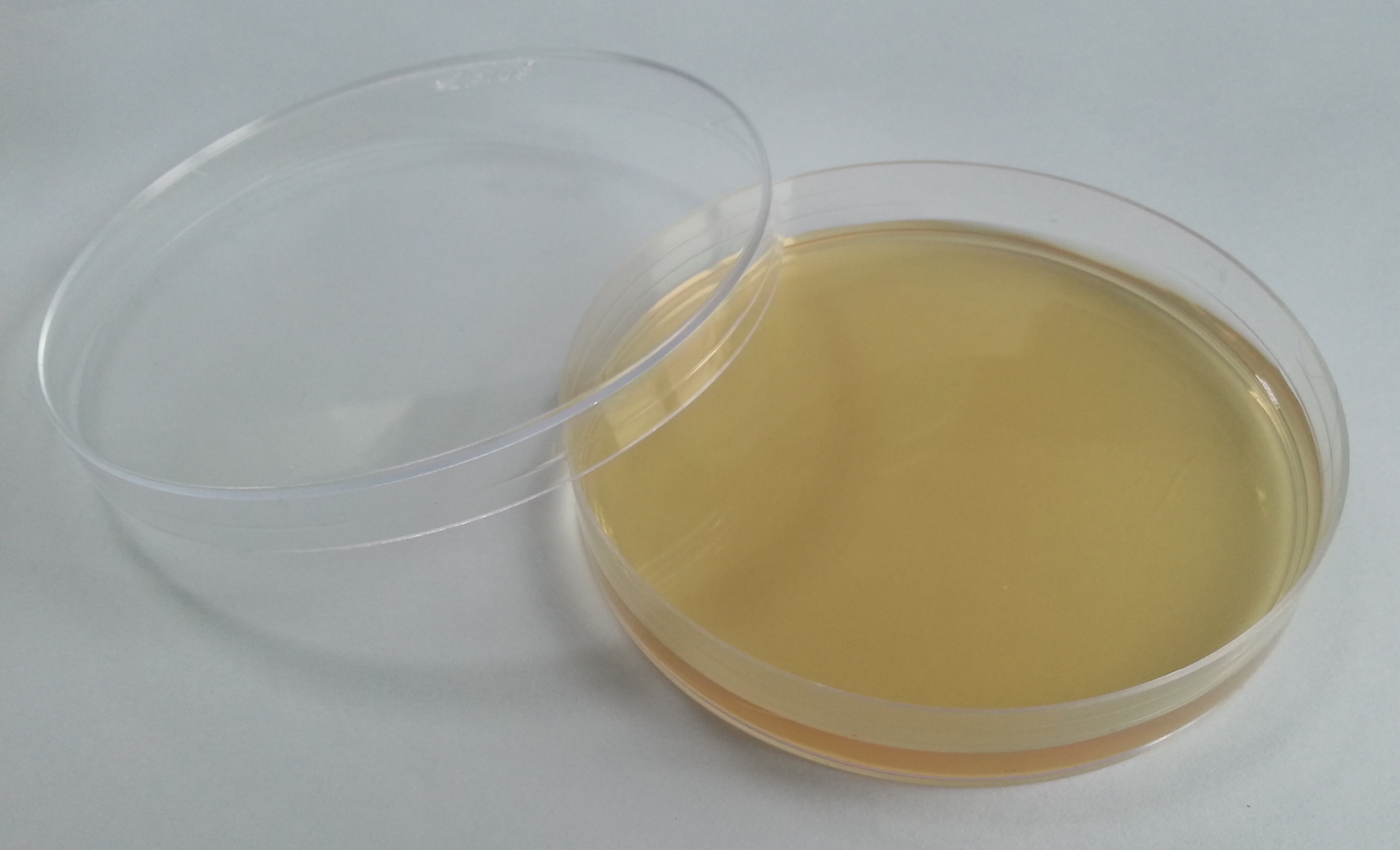 常见微生物培养基介绍(二) - 知乎