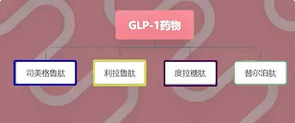 最近很⽕的司美格鲁肽是什么?为何出现「⼀药难买」? - 知乎