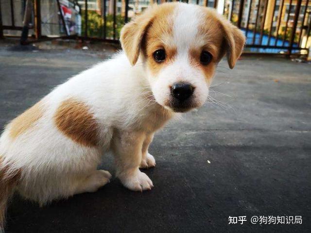 知乎