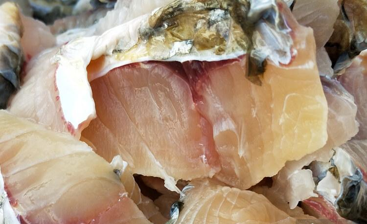 吃鲟龙鱼应该重点吃什么位置呢其实鲟龙鱼最有价值的就是那根筋