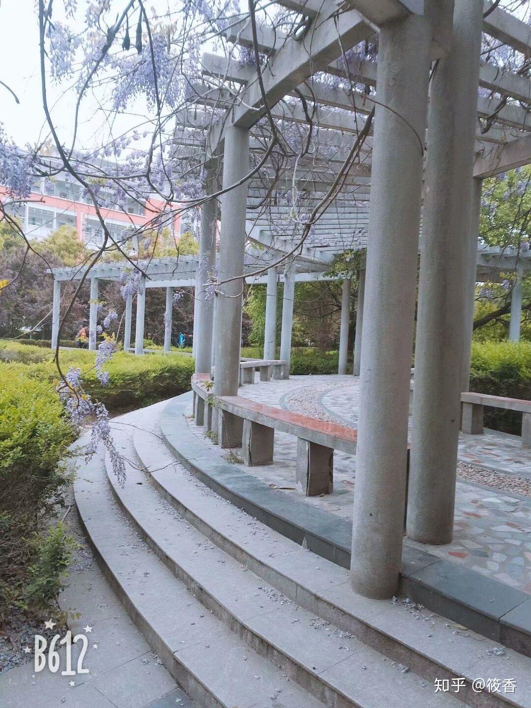 在固始慈济高中就读是怎样的体验? - 知乎