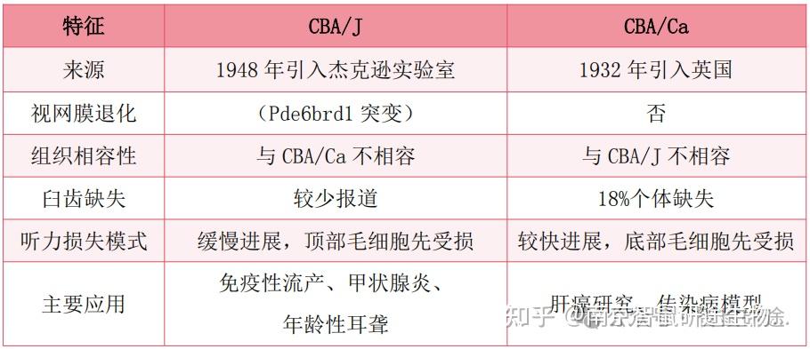智鼠课堂 | CBA/J和CBA/Ca小鼠差异——实验中该如何选择？ - 知乎