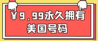 如何只花￥9.99***拥有一个美国号码？——Google Voice有什么用？