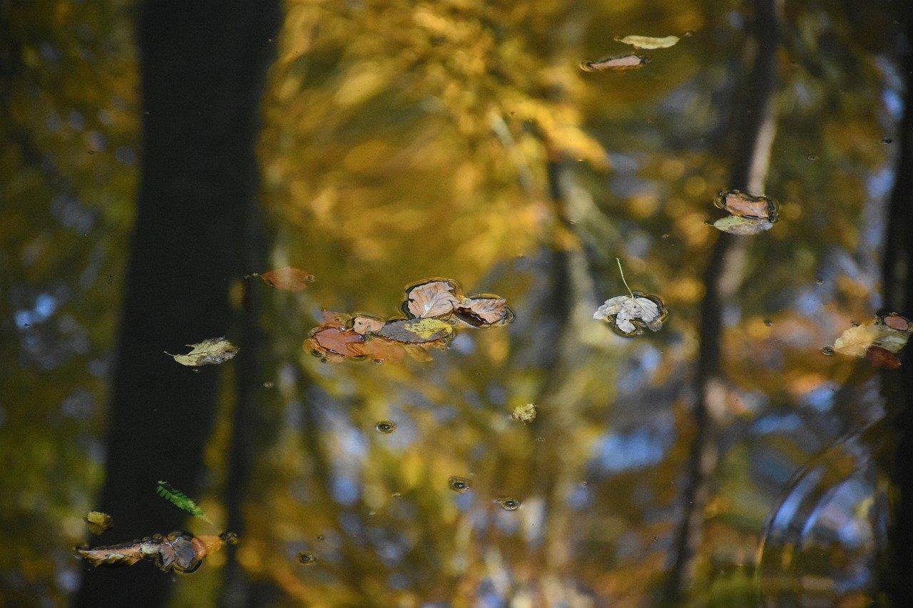 4. 水质污染指数