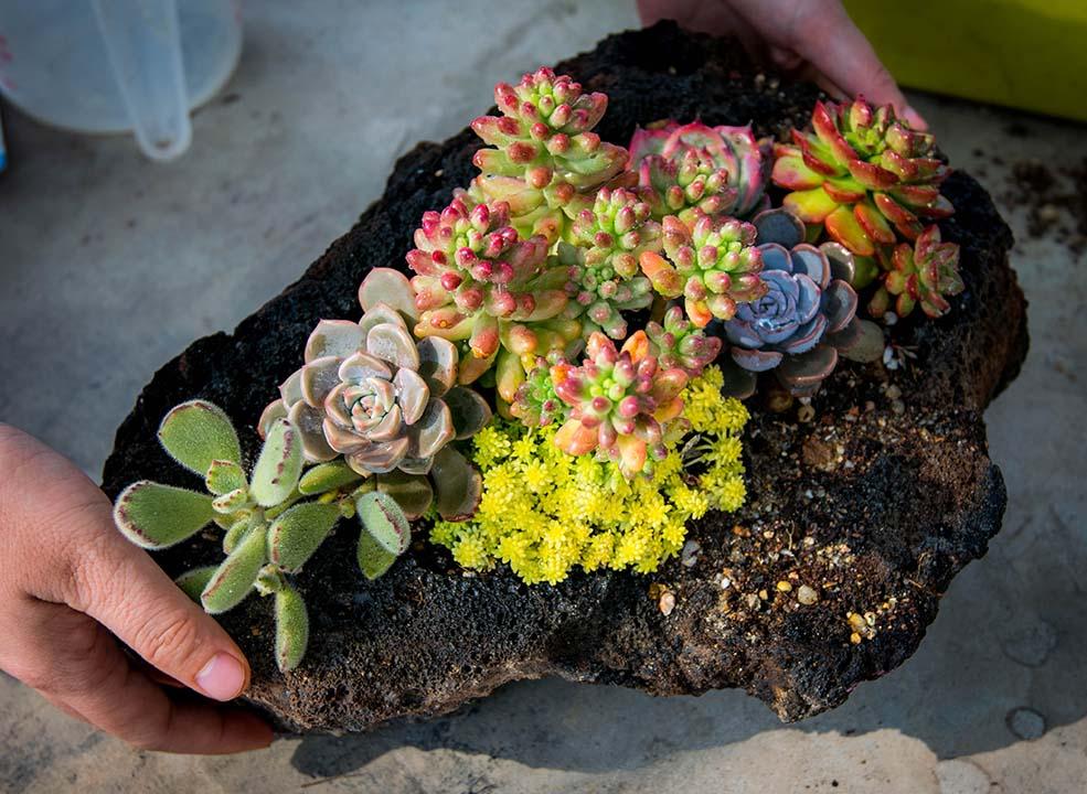 手工 加工火山石花盆 知乎