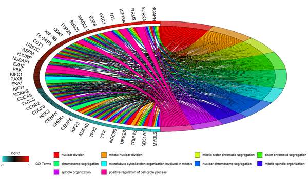 R语言clusterProfiler包GO富集分析（enrichplot包、GOplot包和ggplot2绘图） - 知乎