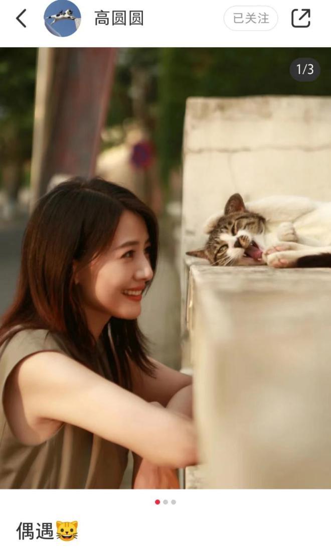 高圆圆晒出自拍照,偶遇小猫咪,学猫伸爪,太可爱了 - 知乎