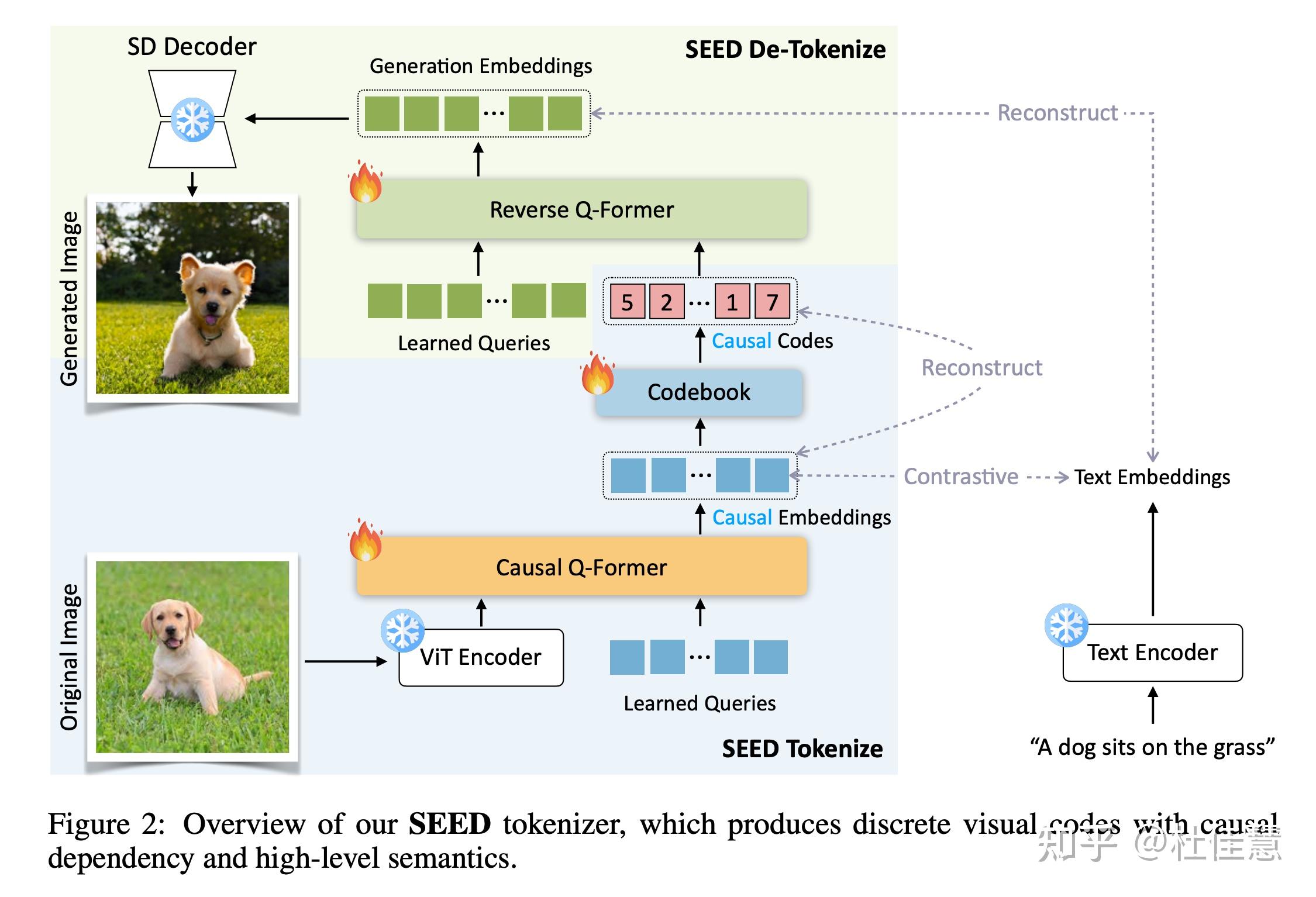 Planting a seed of vision in large language model 