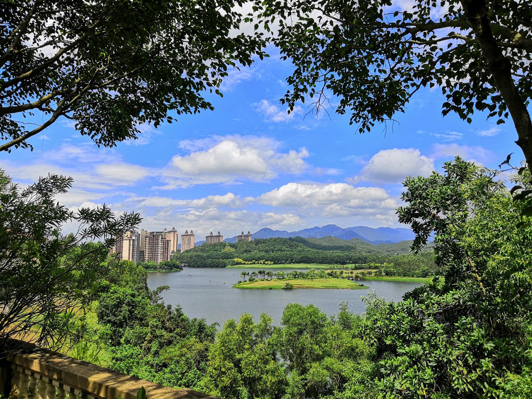 惠州白鹭湖图片图片