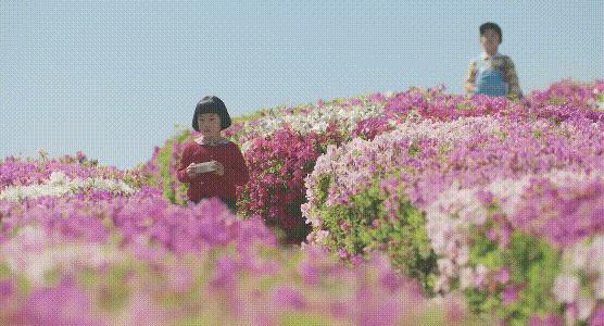 《花便当》转世重生！有村架纯新片太好哭了