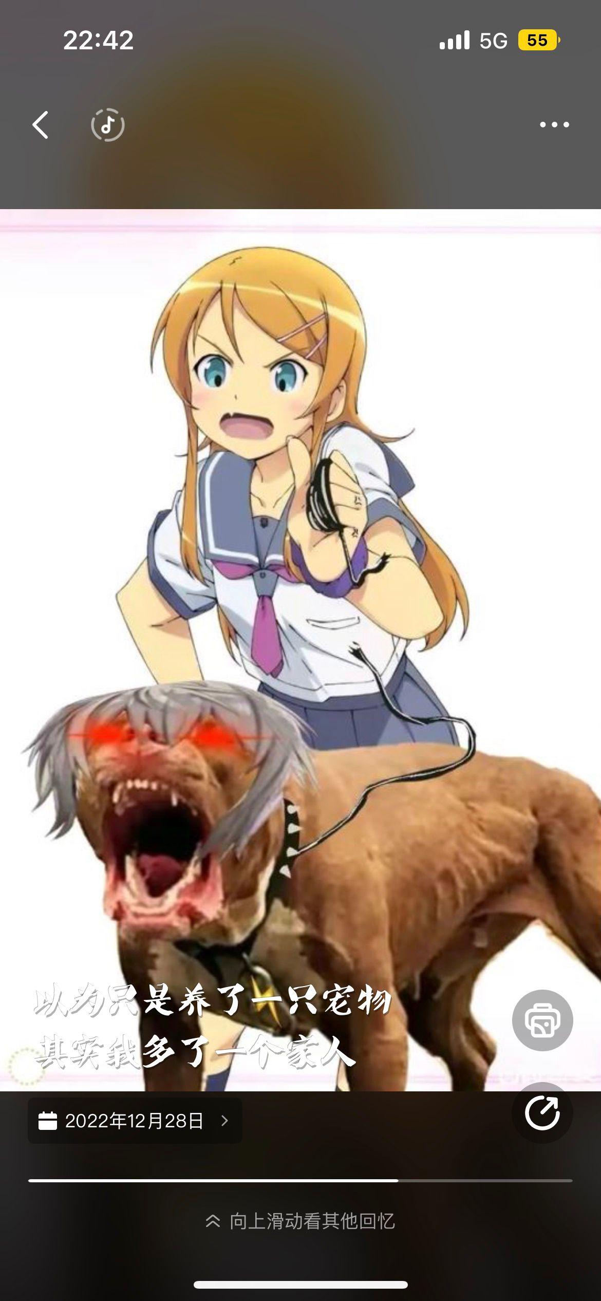 为什么贴吧很多人都在骂陈睿