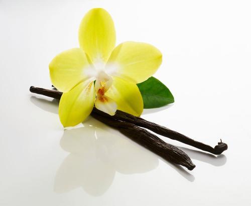 香草豆荚到底该怎么充分利用？ - 知乎
