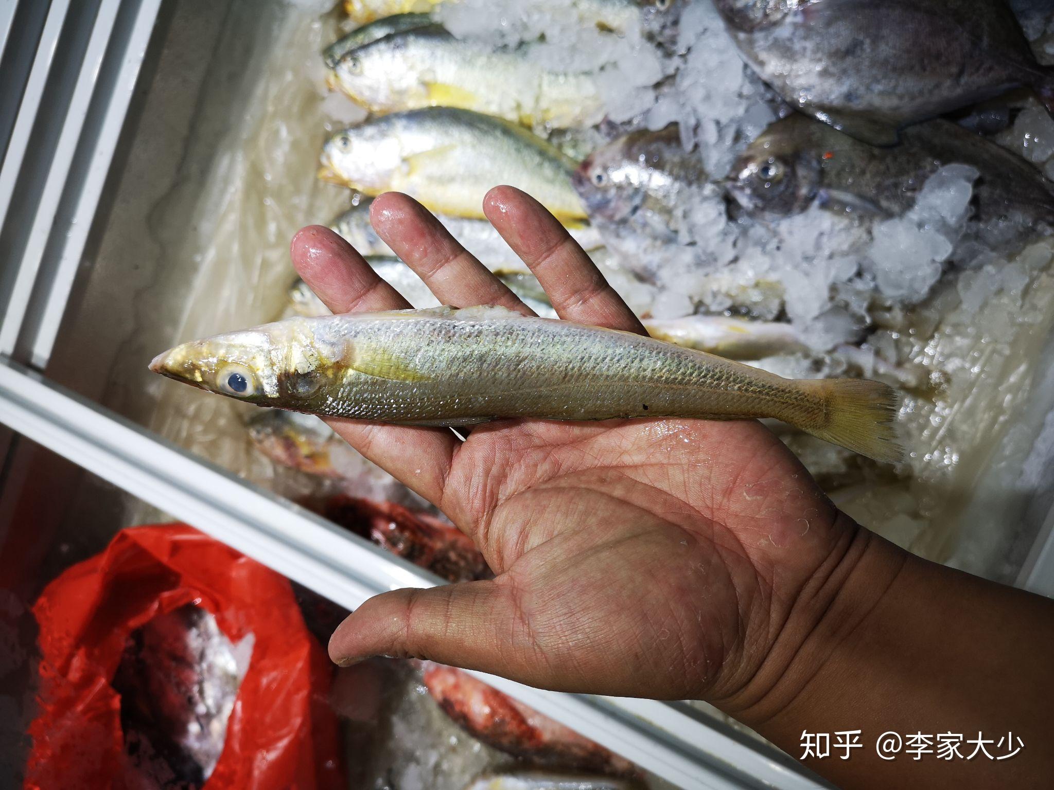 吃过最好吃的鱼是什么鱼？ - 知乎