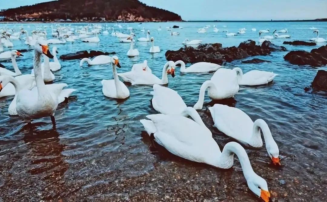 2022中国10大宜居城市最新排名出炉，第一名已经拿了7年冠军（中国宜居城市排名前100名图片）