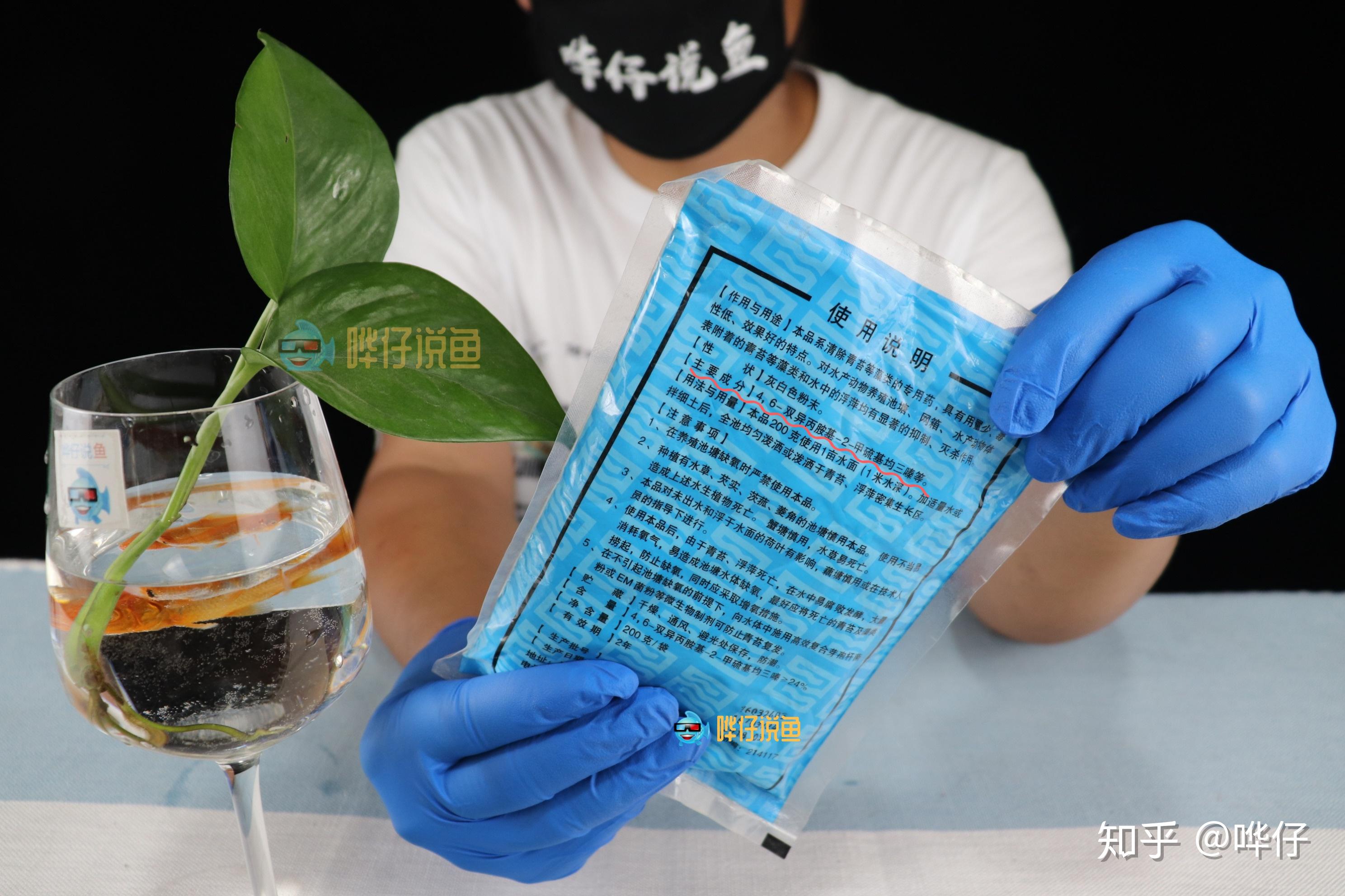 常见的去除褐藻的办法,其实都是治标不治本