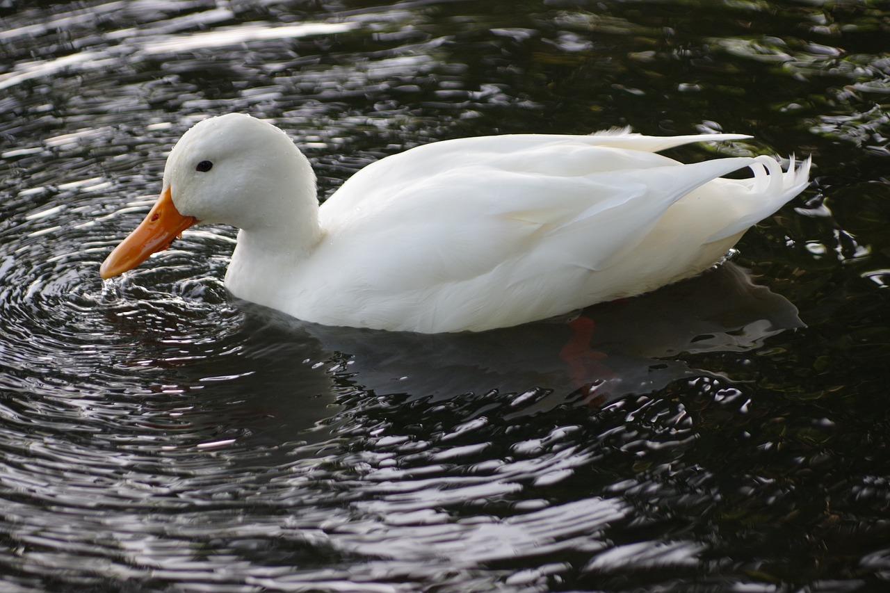 珍惜生命的美妙